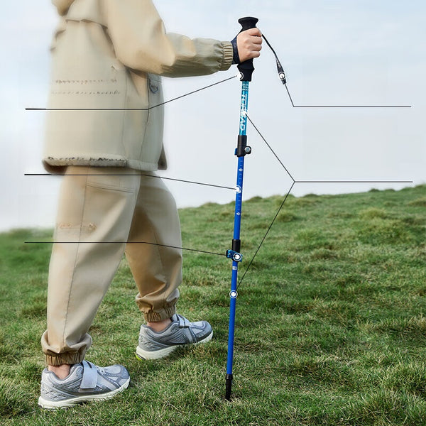 S90305b25a1464b96b7f96fb813484b50b