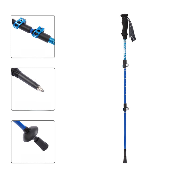 Sa44a7c7645d147aca6ada9721d5b841aR